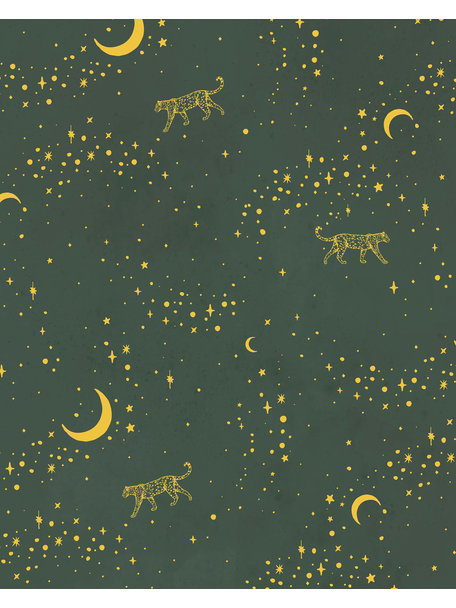 Creative Lab Amsterdam Stargazer Wallpaper