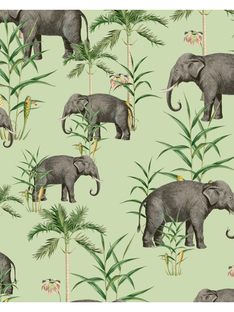 Creative Lab Amsterdam Oscar the Elephant Green Bathroom Wallpaper