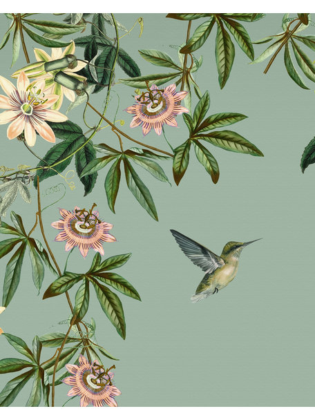 Creative Lab Amsterdam Passionate Colibri Wallpaper