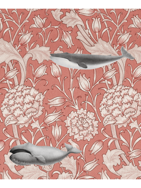 Creative Lab Amsterdam Whaliam Morris Coral Wallpaper