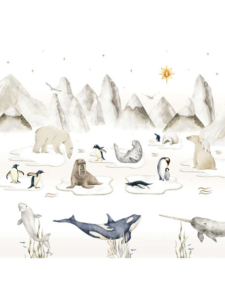 Pole Star Wallpaper Mural