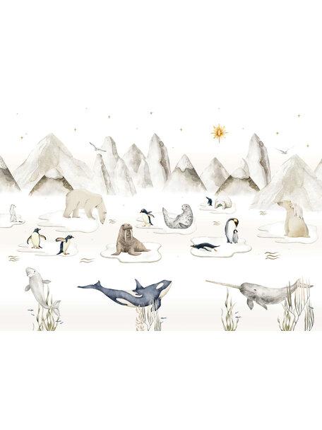 Pole Star Wallpaper Mural
