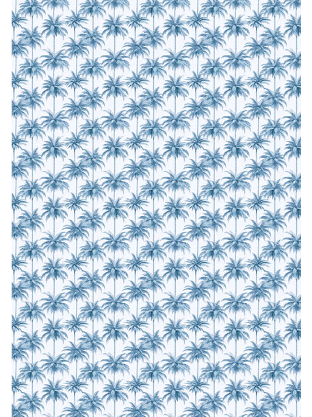 Miami Blue Wallpaper