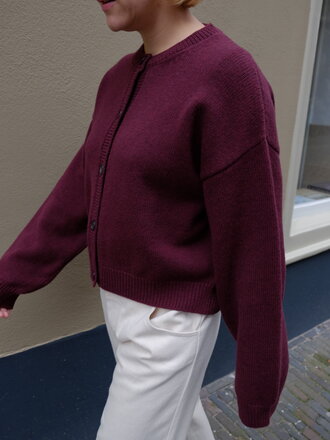 Gris Barthou Cardigan