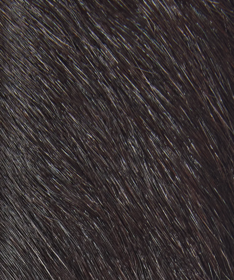 Selected Caroline Cow Belt