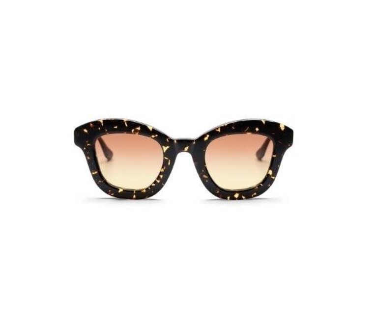 Gobi Bayan Pop Tortoise