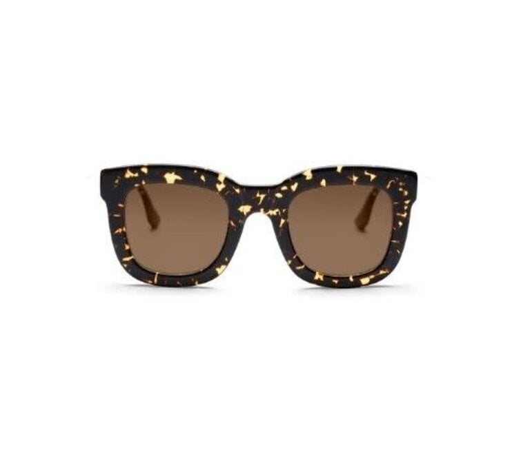 Gobi Bela Pop Tortoise