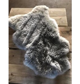 Damn Sheepskin (real)