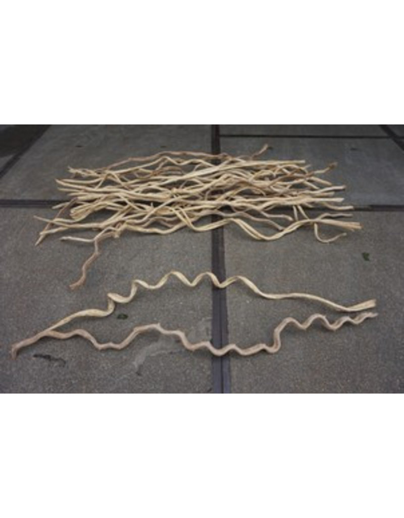 Damn Liana wooden branch 2 meters