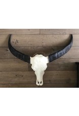 Damn Skull real water buffalo XL