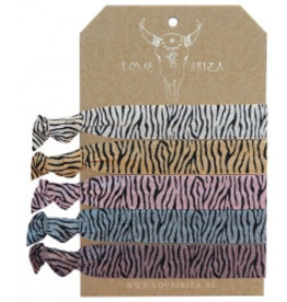 Damn Zebra set of 5