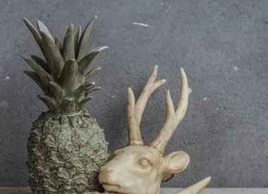 Antlers and stone skulls