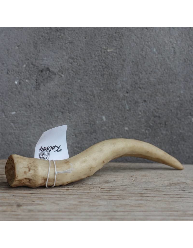 Damn Loose horn art 15 cm - Copy