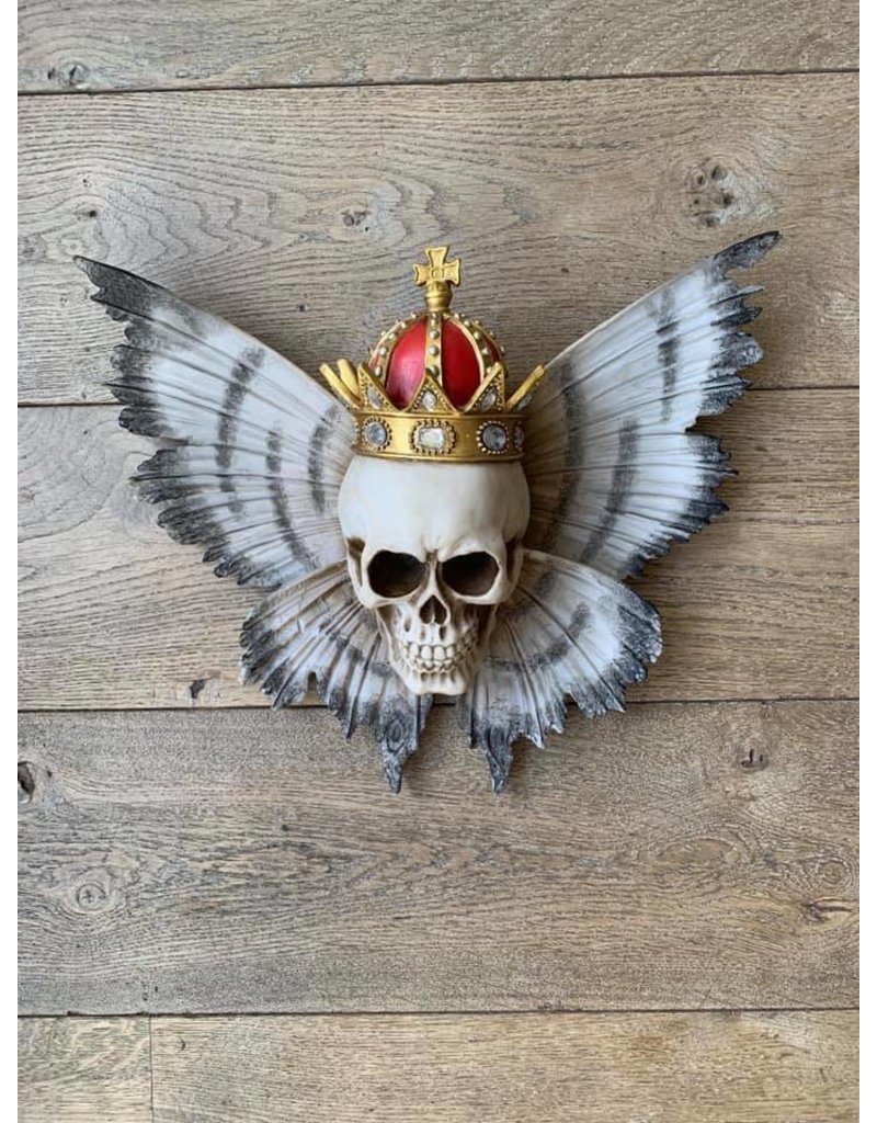 Damn Skull 40 cm white - Copy - Copy - Copy - Copy - Copy - Copy - Copy - Copy - Copy - Copy - Copy - Copy - Copy - Copy