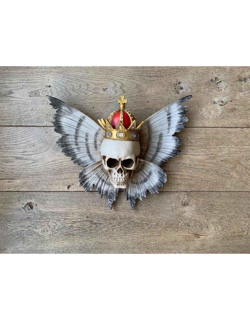 Damn Skull 40 cm white - Copy - Copy - Copy - Copy - Copy - Copy - Copy - Copy - Copy - Copy - Copy - Copy - Copy - Copy
