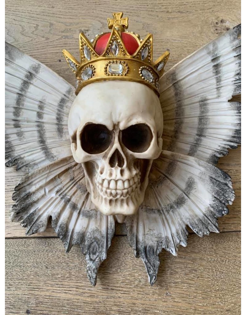 Damn Skull 40 cm white - Copy - Copy - Copy - Copy - Copy - Copy - Copy - Copy - Copy - Copy - Copy - Copy - Copy - Copy