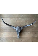 Damn Long Horn engraved 1 meter wide