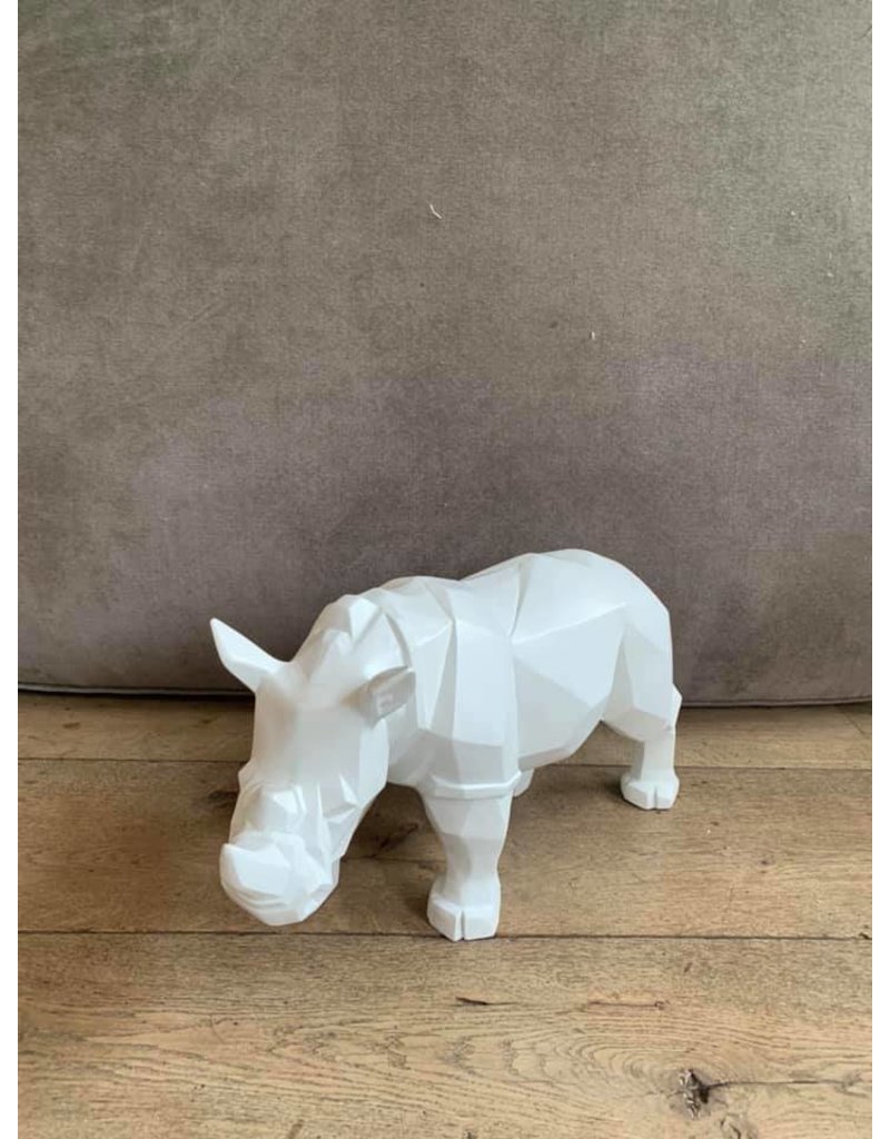 Damn Rhinoceros white