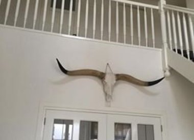 Long horns
