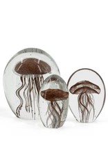 Damn jellyfish in glass XL - Copy - Copy - Copy - Copy - Copy - Copy - Copy - Copy - Copy - Copy - Copy - Copy - Copy - Copy - Copy - Copy - Copy