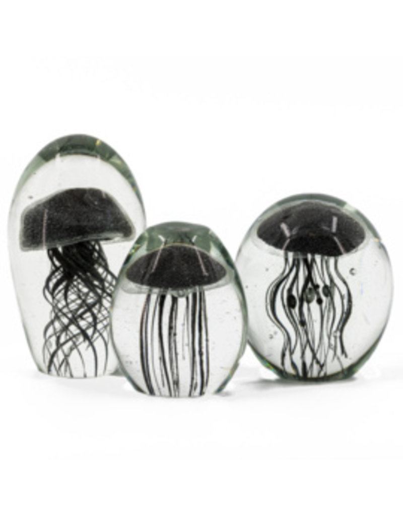 Damn jellyfish in glass XL - Copy - Copy - Copy - Copy - Copy - Copy - Copy - Copy - Copy - Copy - Copy - Copy - Copy - Copy - Copy - Copy - Copy - Copy