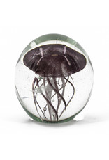 Damn jellyfish in glass XL - Copy - Copy - Copy - Copy - Copy - Copy - Copy - Copy - Copy - Copy - Copy - Copy - Copy - Copy - Copy - Copy - Copy - Copy - Copy - Copy - Copy - Copy - Copy - Copy - Copy - Copy - Copy