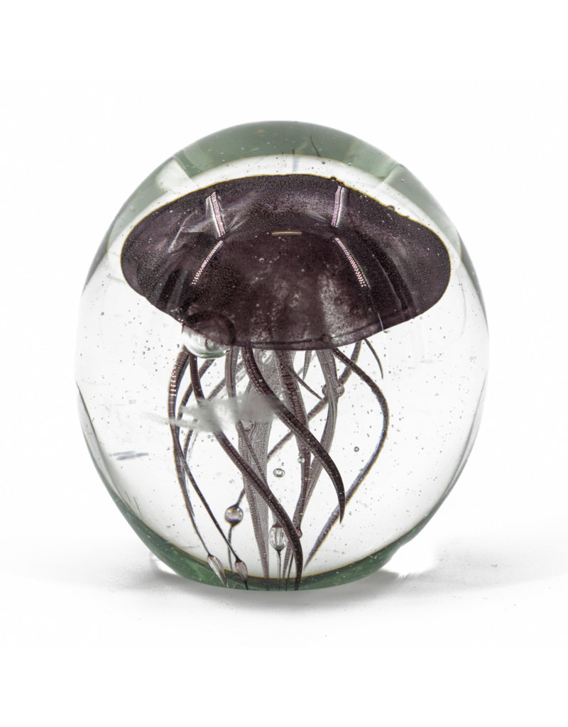 Damn jellyfish in glass XL - Copy - Copy - Copy - Copy - Copy - Copy - Copy - Copy - Copy - Copy - Copy - Copy - Copy - Copy - Copy - Copy - Copy - Copy - Copy - Copy - Copy - Copy - Copy - Copy - Copy - Copy - Copy