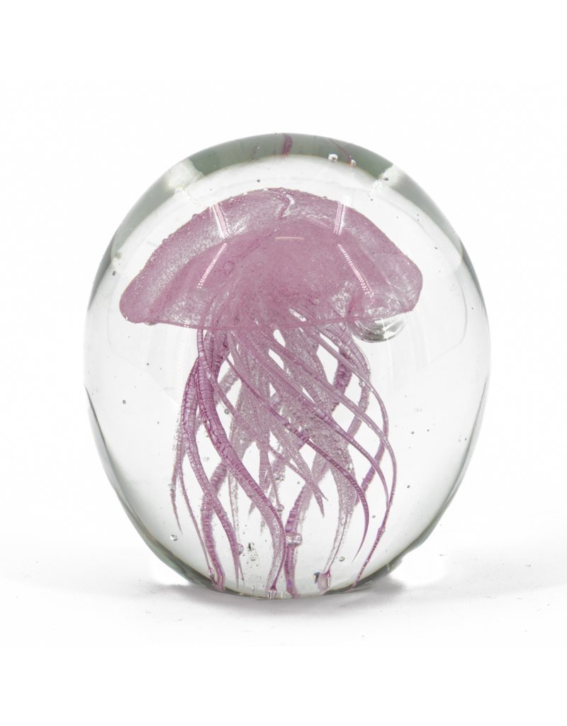 Damn jellyfish in glass XL - Copy - Copy - Copy - Copy - Copy - Copy - Copy - Copy - Copy - Copy - Copy - Copy - Copy - Copy - Copy - Copy - Copy - Copy - Copy - Copy - Copy - Copy - Copy - Copy - Copy - Copy - Copy - Copy