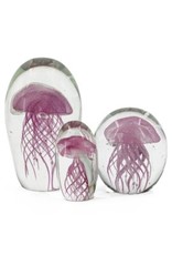 Damn jellyfish in glass XL - Copy - Copy - Copy - Copy - Copy - Copy - Copy - Copy - Copy - Copy - Copy - Copy - Copy - Copy - Copy - Copy - Copy - Copy - Copy - Copy - Copy - Copy - Copy - Copy - Copy - Copy - Copy - Copy