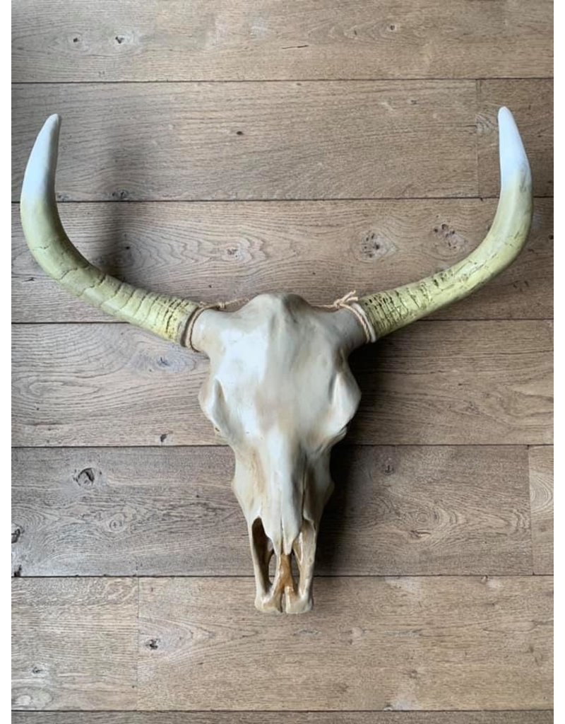 Damn Skull effen 74 x 80 cm  bruine kop