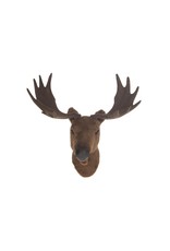 Damn Pluche deer head 34 cm