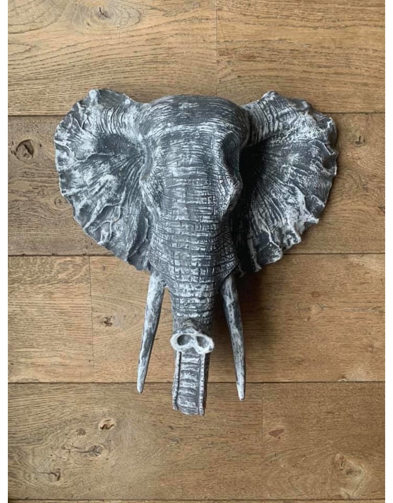 Damn elephant gray