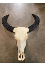 Damn Skull real buffalo - Copy