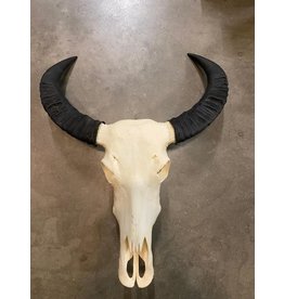 Damn Skull real buffalo - Copy