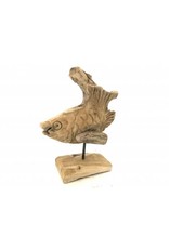 Damn Teak head rusa - Copy - Copy - Copy - Copy