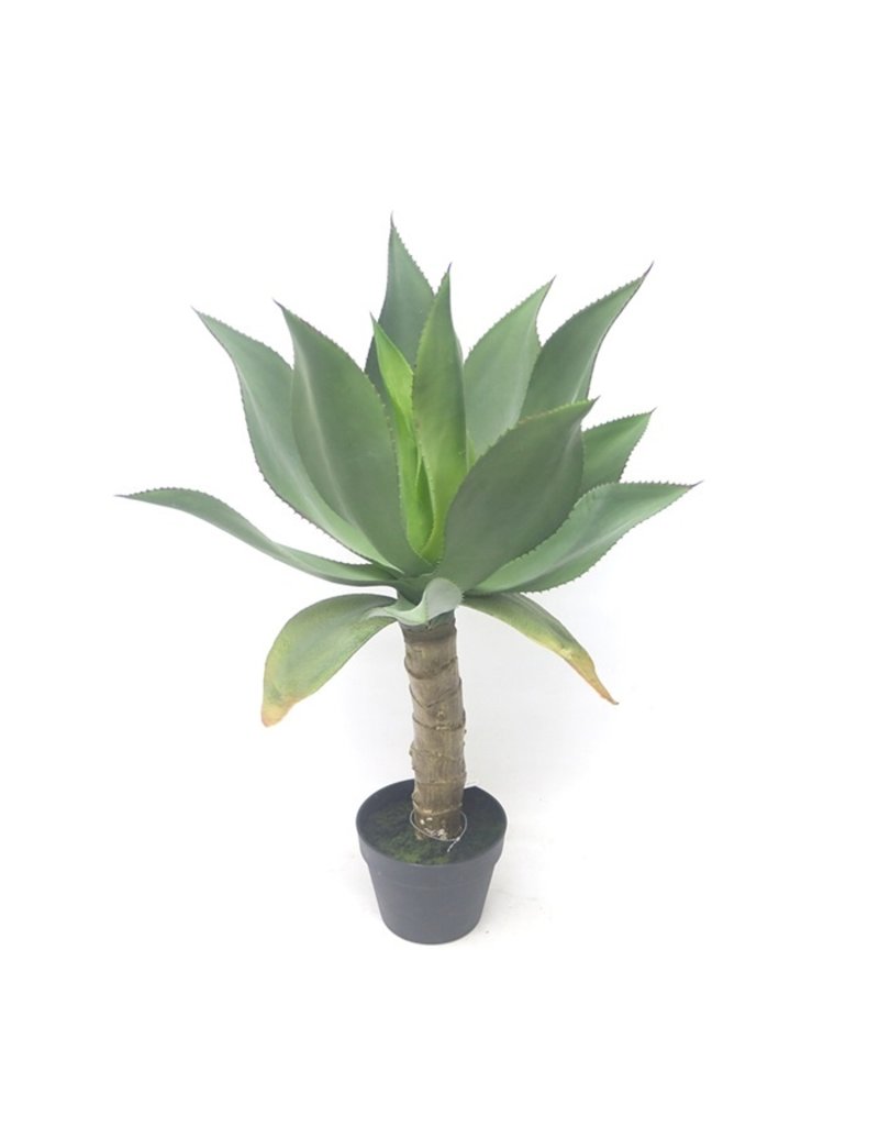 Damn Fake Akave plant 80 cm