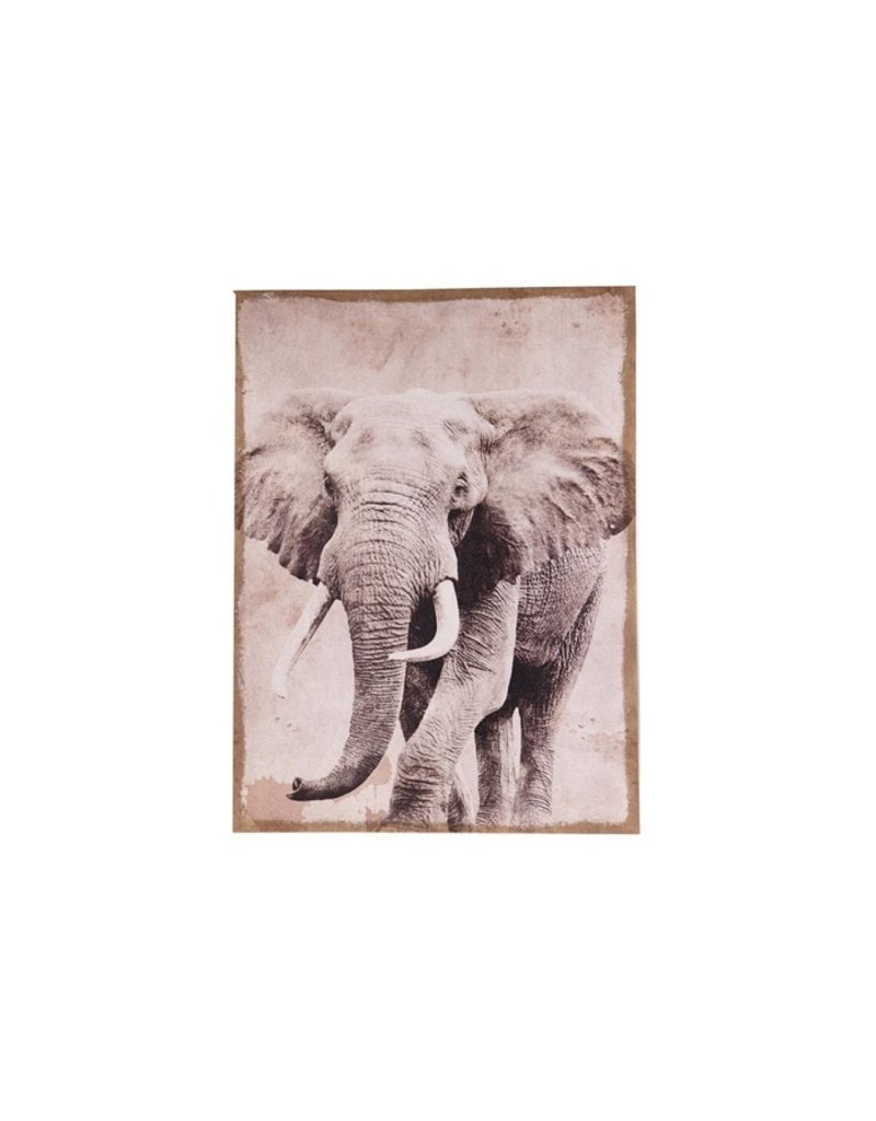 Damn Olifant op canvas