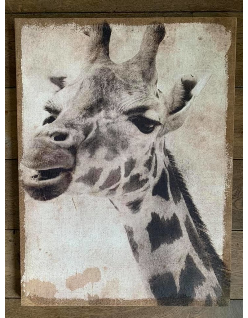 Damn Giraffe op canvas