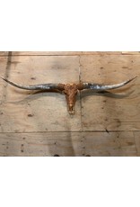 Damn Longhorn engraved really - Copy - Copy - Copy - Copy - Copy - Copy - Copy - Copy