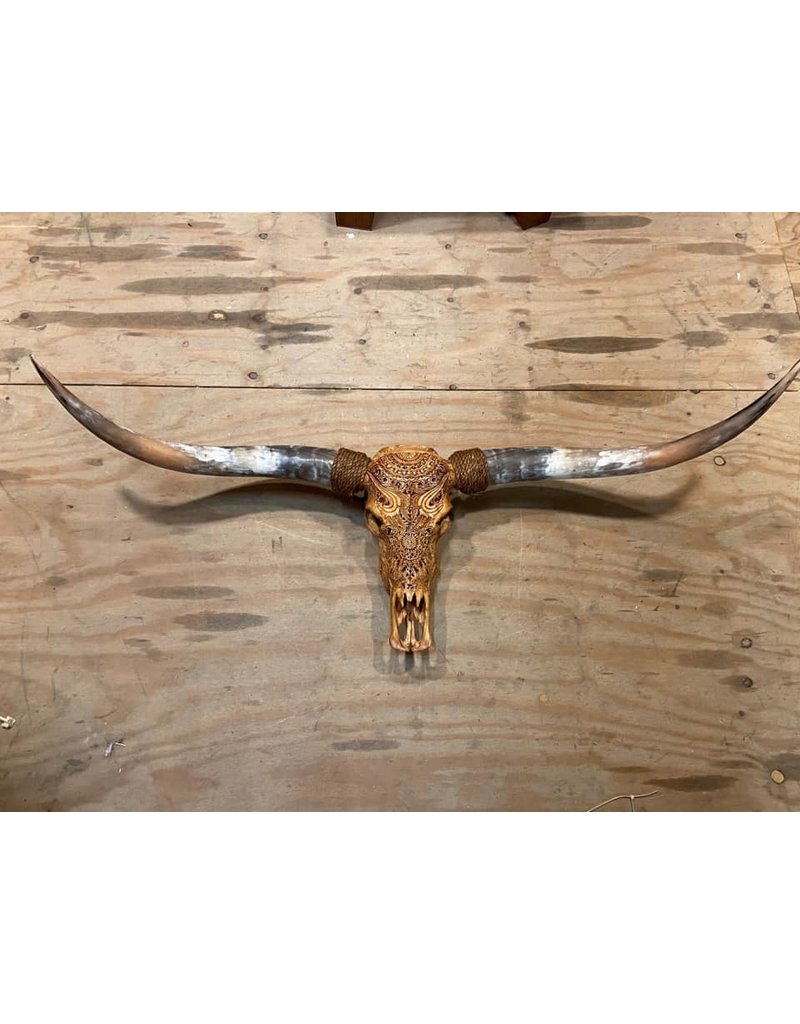 Damn Longhorn engraved really - Copy - Copy - Copy - Copy - Copy - Copy - Copy - Copy - Copy - Copy - Copy