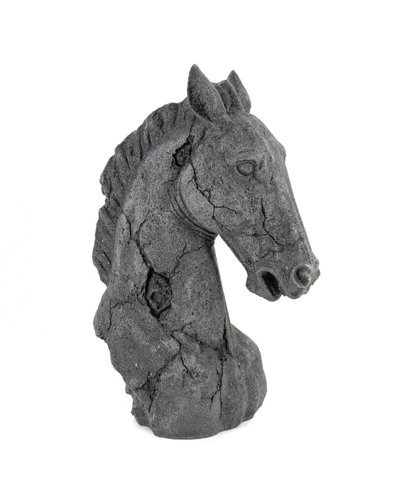 Damn Skull gray horse - Copy - Copy - Copy - Copy