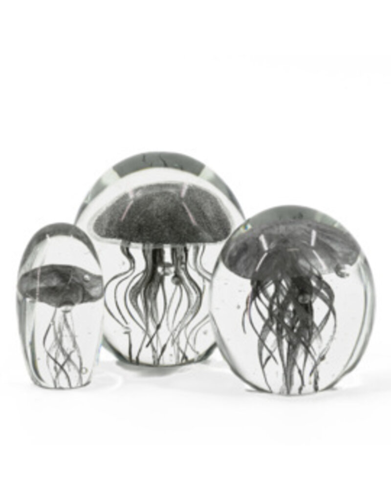 Damn jellyfish in glass XL - Copy - Copy - Copy - Copy - Copy - Copy - Copy - Copy - Copy - Copy - Copy - Copy - Copy - Copy - Copy - Copy - Copy