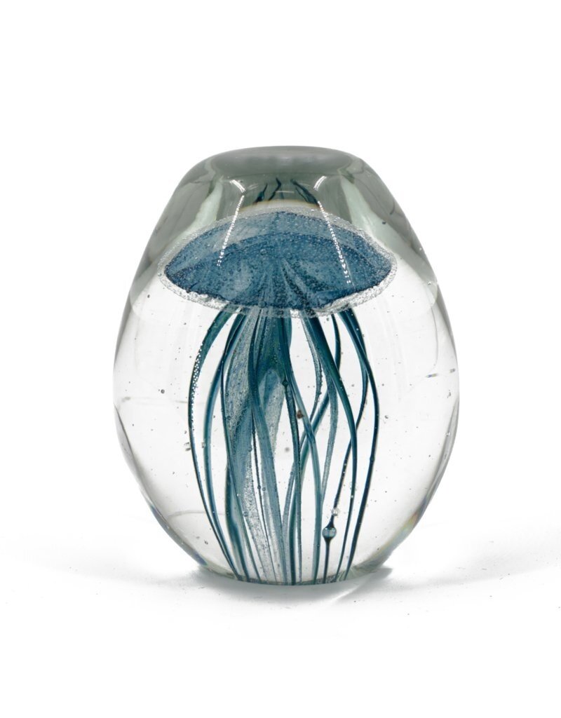 Damn jellyfish in glass XL - Copy - Copy - Copy - Copy - Copy - Copy - Copy - Copy - Copy - Copy - Copy - Copy - Copy - Copy - Copy - Copy - Copy - Copy - Copy