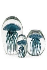 Damn jellyfish in glass XL - Copy - Copy - Copy - Copy - Copy - Copy - Copy - Copy - Copy - Copy - Copy - Copy - Copy - Copy - Copy - Copy - Copy - Copy - Copy