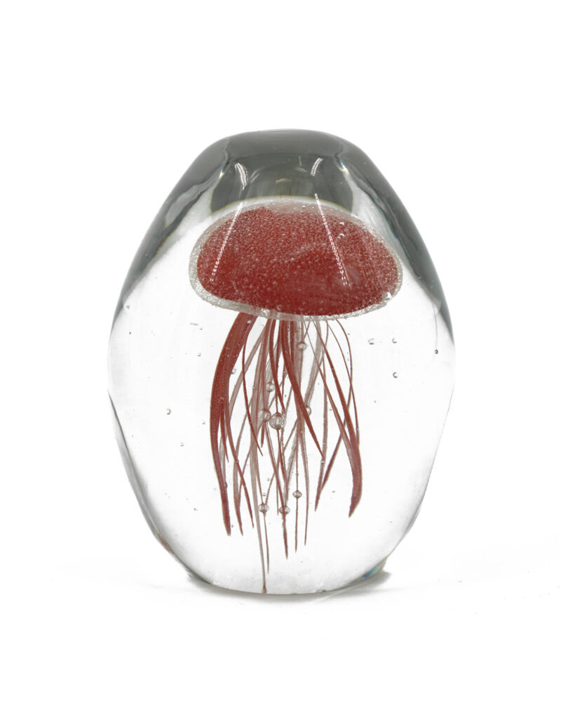 Damn jellyfish in glass XL - Copy - Copy - Copy - Copy - Copy - Copy - Copy - Copy - Copy - Copy - Copy - Copy - Copy - Copy - Copy - Copy - Copy - Copy - Copy - Copy - Copy