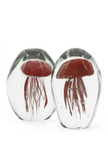 Damn jellyfish in glass XL - Copy - Copy - Copy - Copy - Copy - Copy - Copy - Copy - Copy - Copy - Copy - Copy - Copy - Copy - Copy - Copy - Copy - Copy - Copy - Copy - Copy