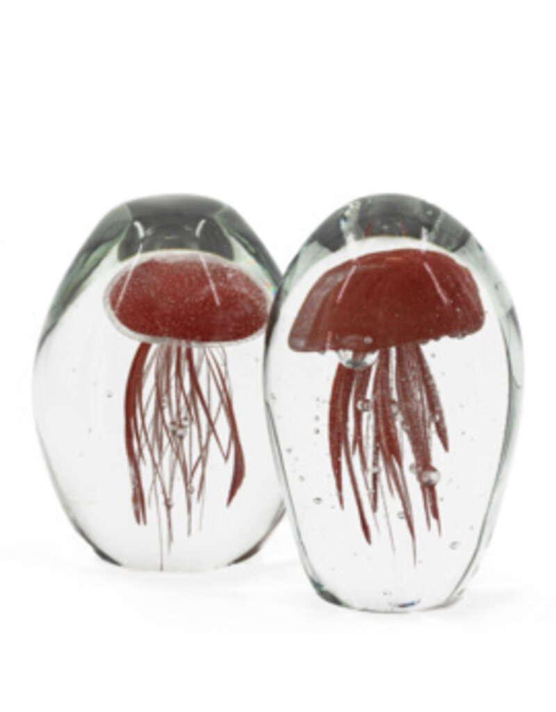 Damn jellyfish in glass XL - Copy - Copy - Copy - Copy - Copy - Copy - Copy - Copy - Copy - Copy - Copy - Copy - Copy - Copy - Copy - Copy - Copy - Copy - Copy - Copy - Copy