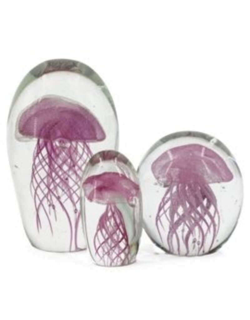 Damn jellyfish in glass XL - Copy - Copy - Copy - Copy - Copy - Copy - Copy - Copy - Copy - Copy - Copy - Copy - Copy - Copy - Copy - Copy - Copy - Copy - Copy - Copy - Copy - Copy - Copy - Copy - Copy