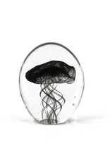 Damn jellyfish in glass XL - Copy - Copy - Copy - Copy - Copy - Copy - Copy - Copy - Copy - Copy - Copy - Copy - Copy - Copy - Copy - Copy - Copy - Copy - Copy - Copy - Copy - Copy - Copy - Copy - Copy - Copy