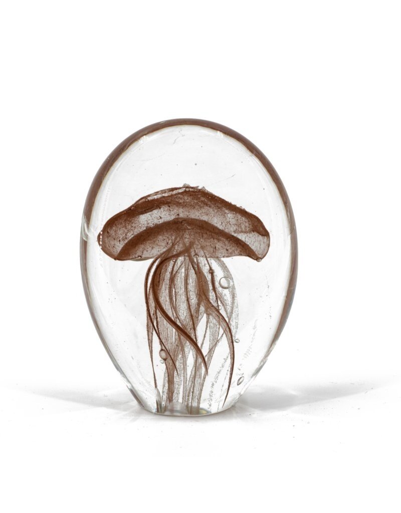 Damn jellyfish in glass XL - Copy - Copy - Copy - Copy - Copy - Copy - Copy - Copy - Copy - Copy - Copy - Copy - Copy - Copy - Copy - Copy - Copy - Copy - Copy - Copy - Copy - Copy - Copy - Copy - Copy - Copy - Copy